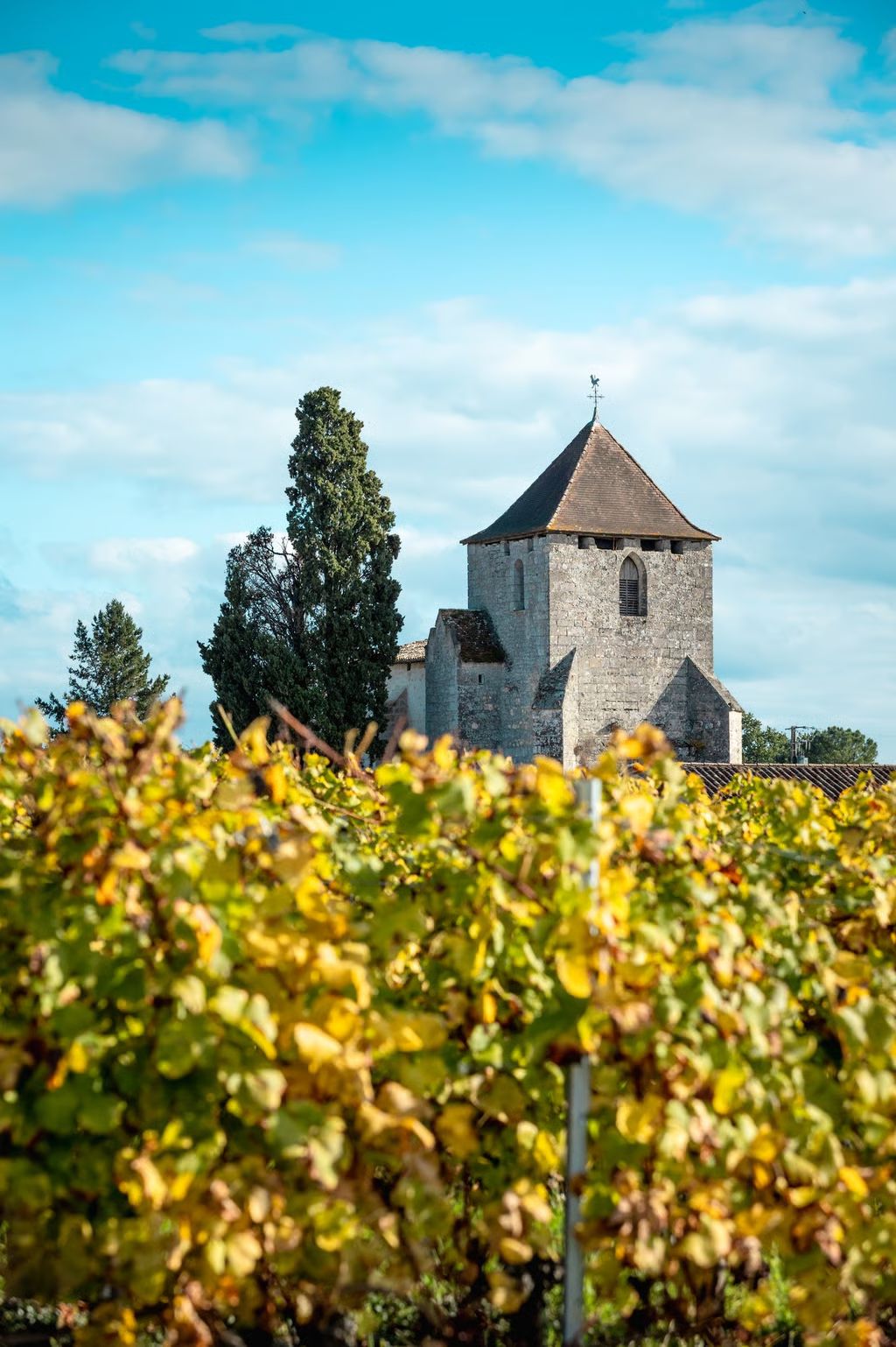 Château de la Craffe — photo 8