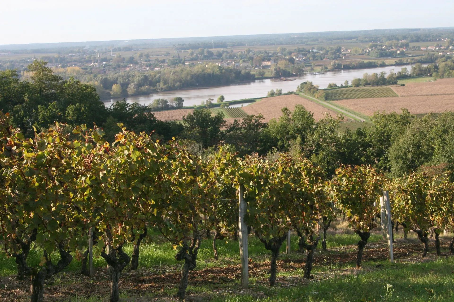 Château Le Sens — photo 1