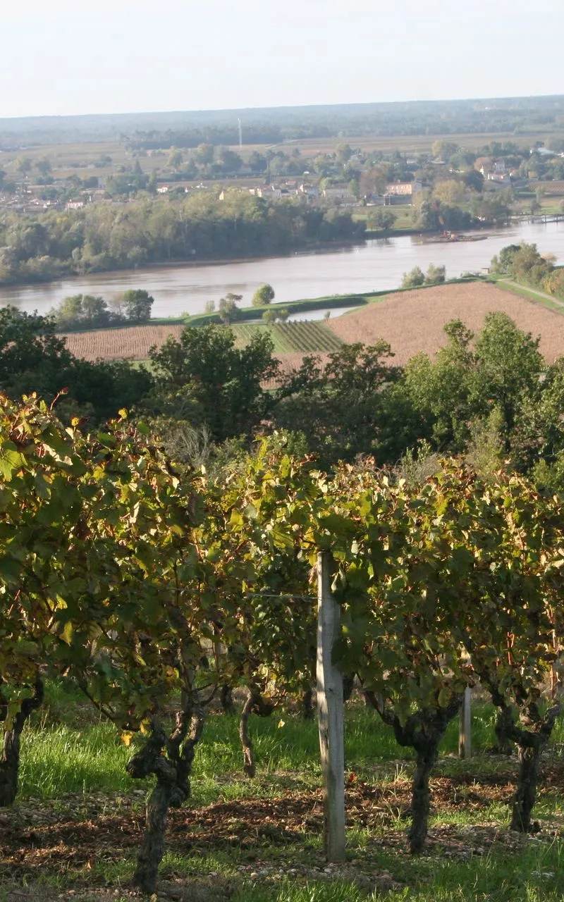 Château Le Sens — photo principale