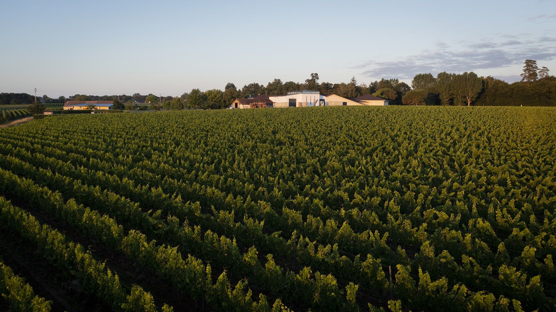 Vignobles Baylet - Chai extèrieur