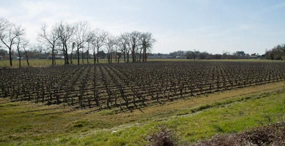 Sc des Vignobles Michel Brunet - Margaux - Gironde