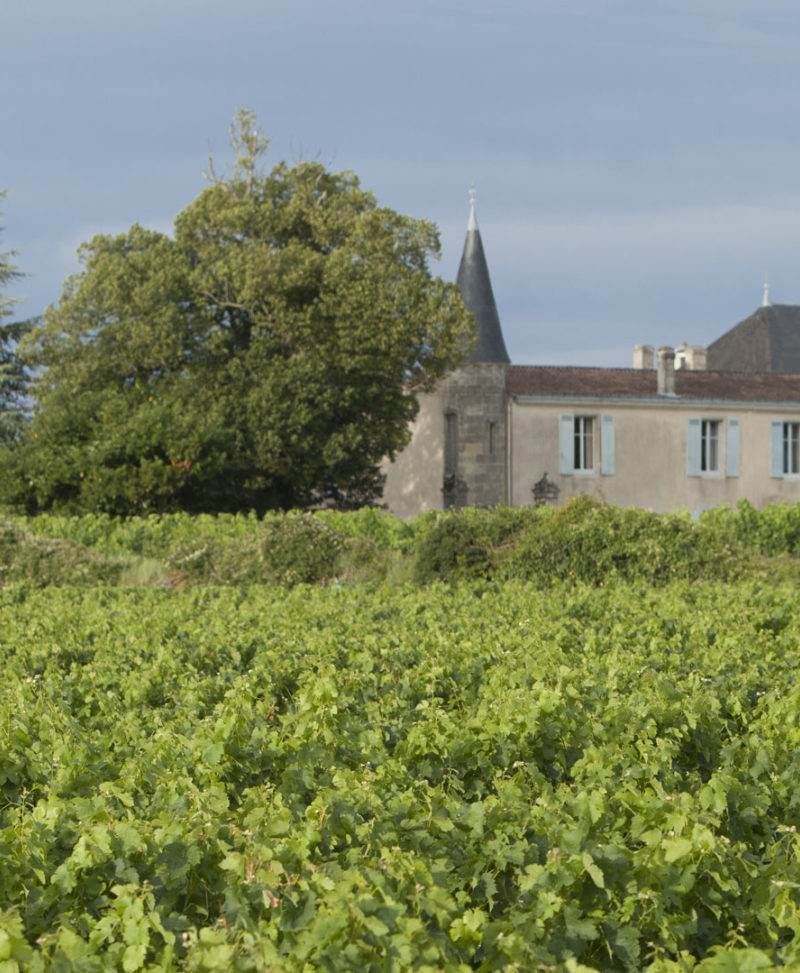 Château les Moines Famille Carreau — photo principale