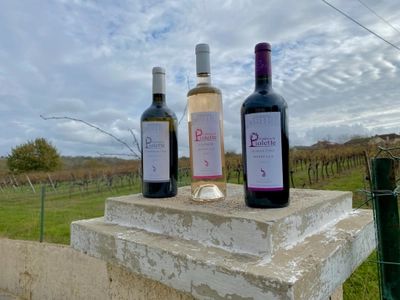 Château la Piolette — photo 8