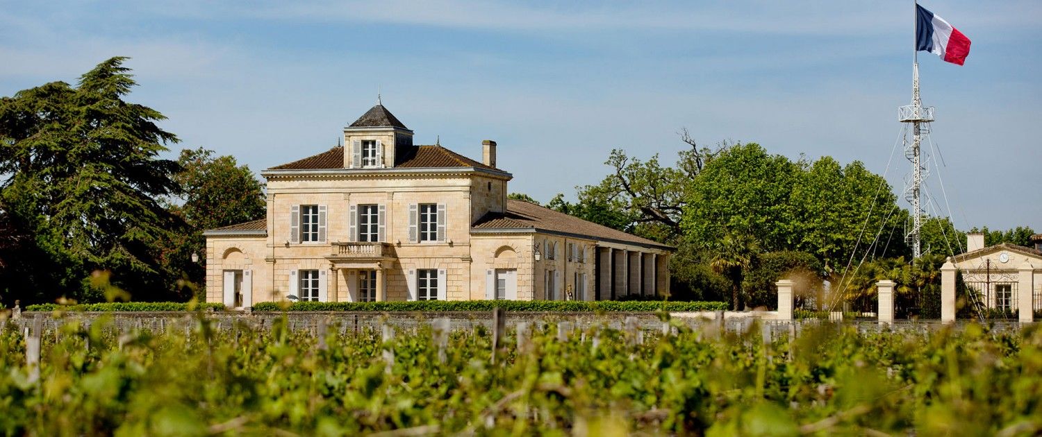 Château Montrose - Saint-Estèphe