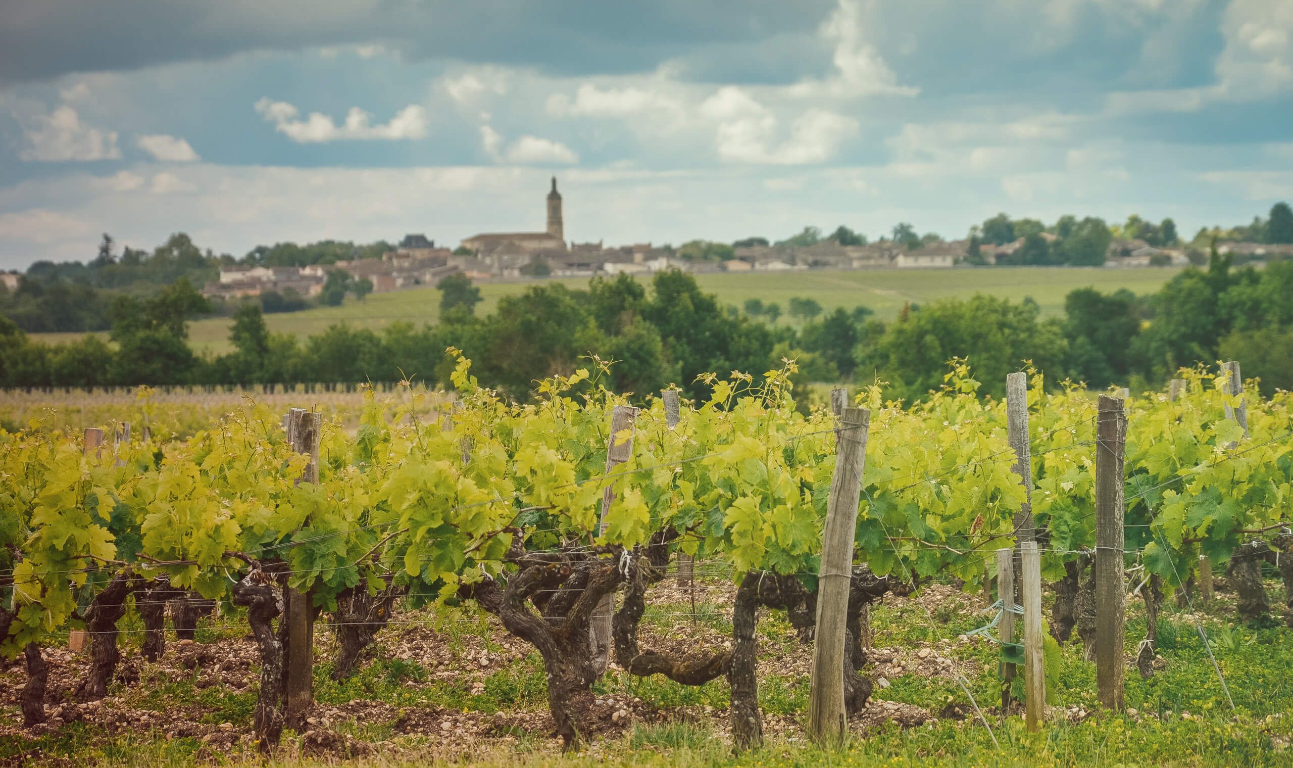 Château Muscadet - Côtes de Bordeaux