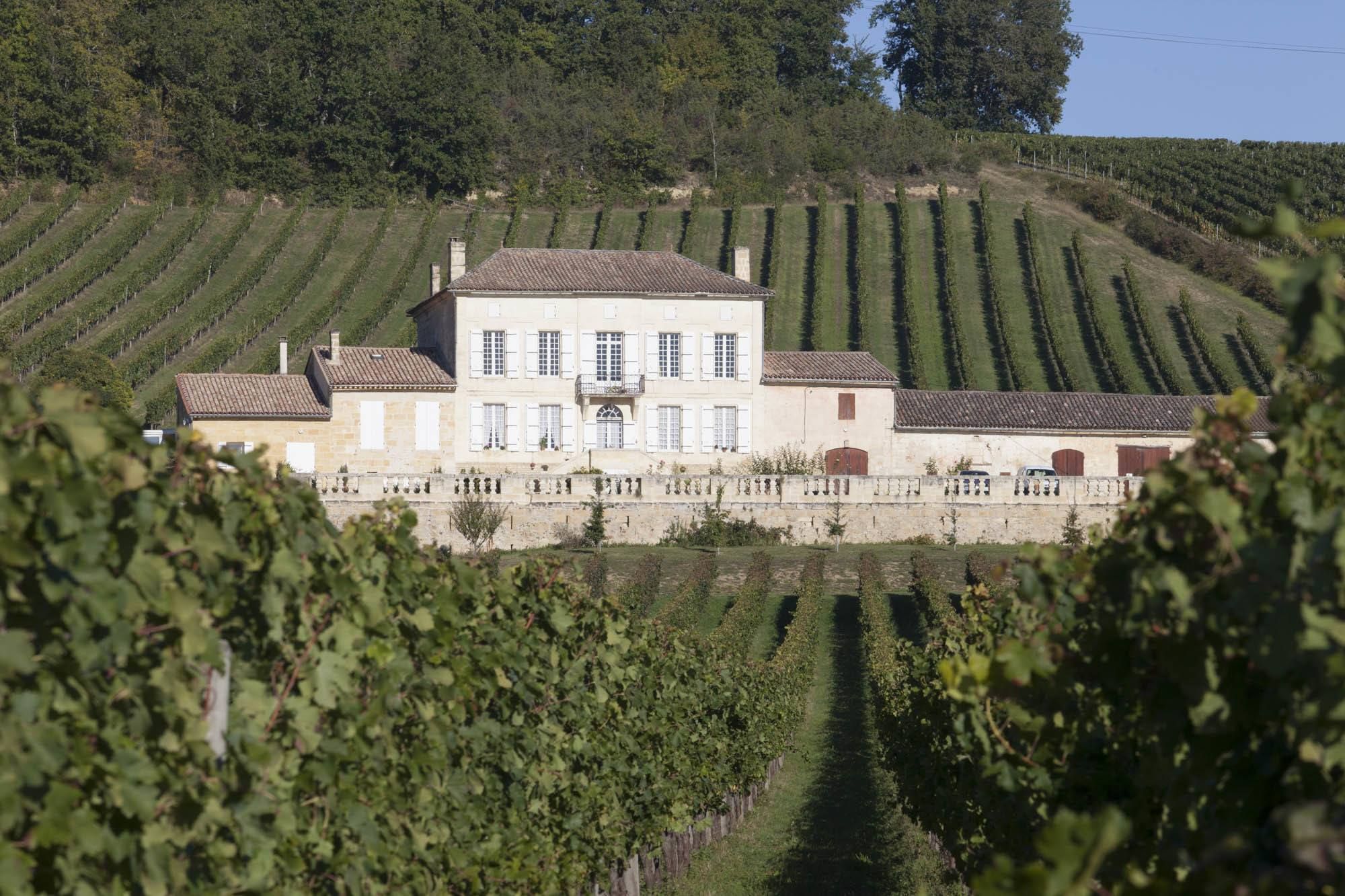 Vignobles Eresue — photo 1