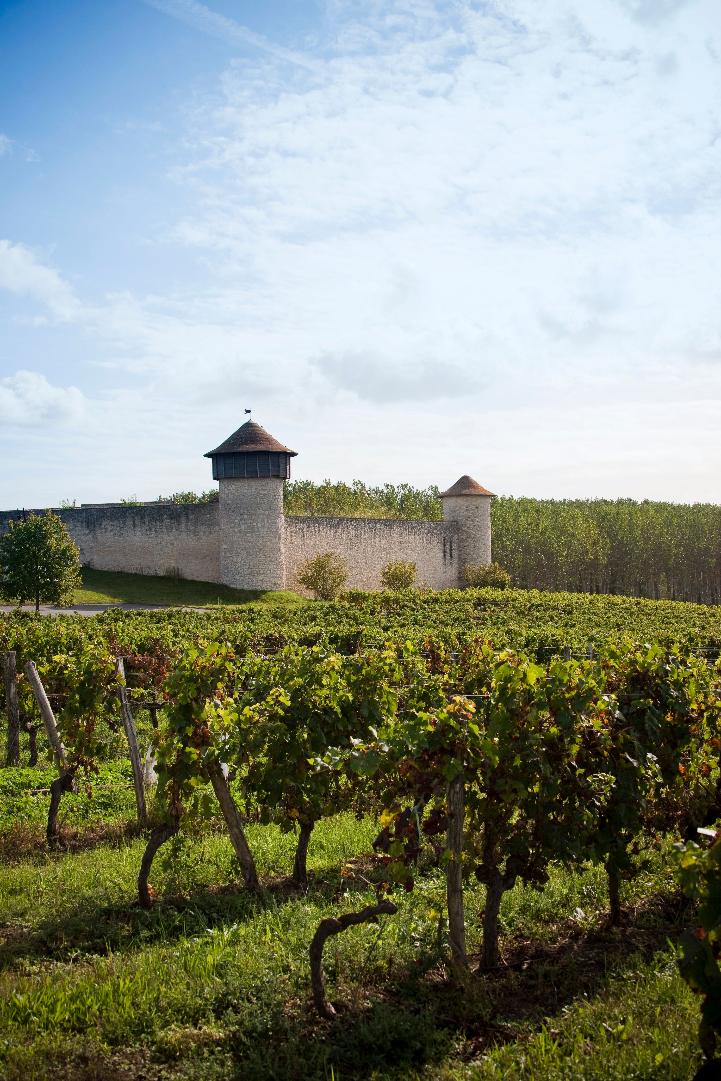 Château Branda (Cadillac-en-Fronsadais) — photo 2