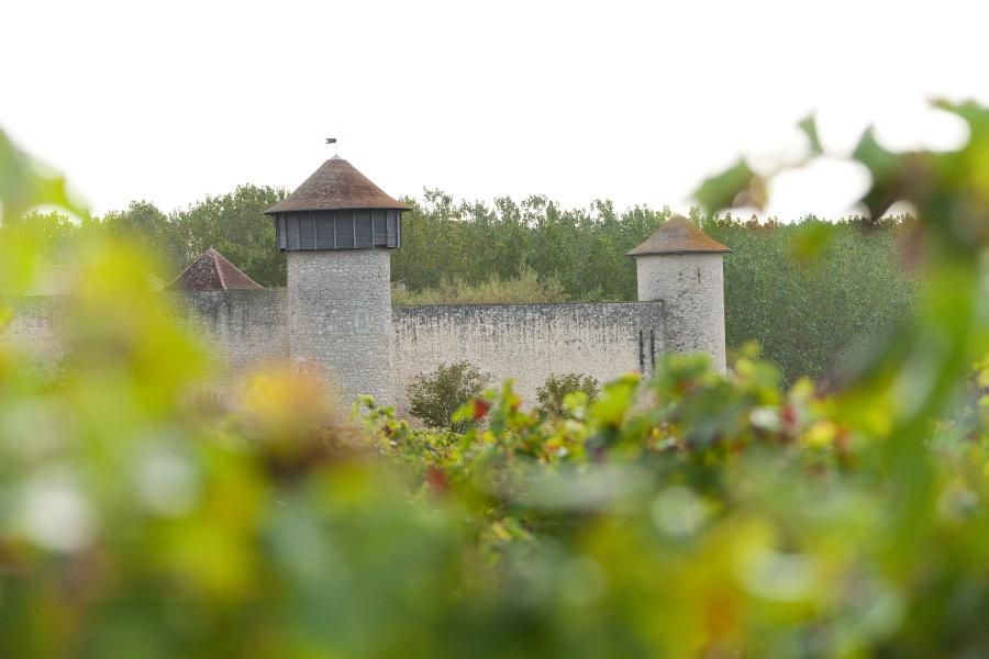 Château Branda (Cadillac-en-Fronsadais) - Bordeaux