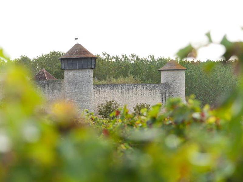 Château Branda (Cadillac-en-Fronsadais) — photo principale