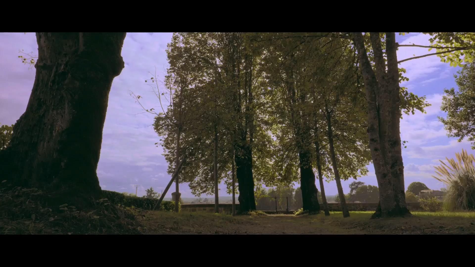 Château Larcis Ducasse — photo 1