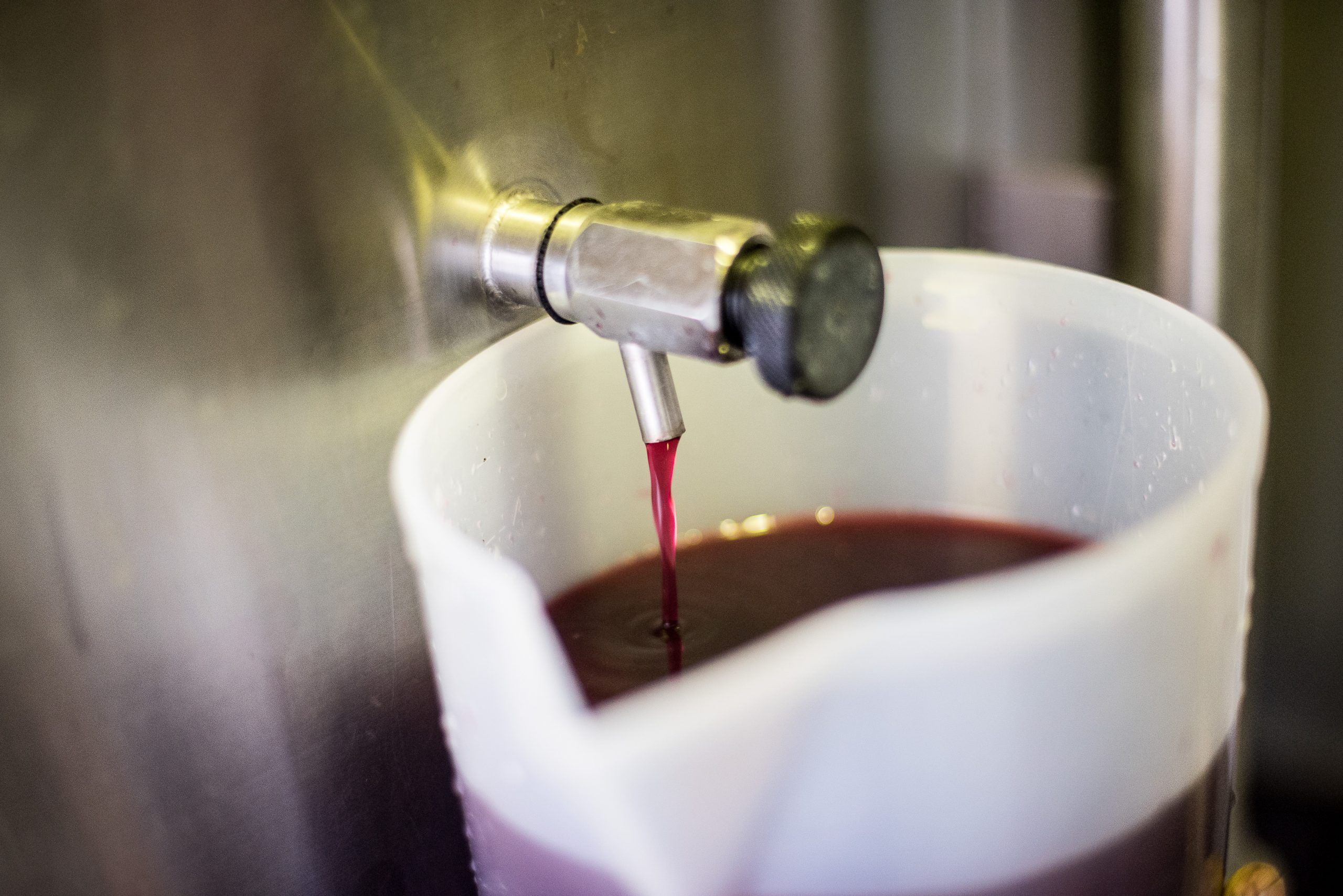 vignobles taste et barrie
