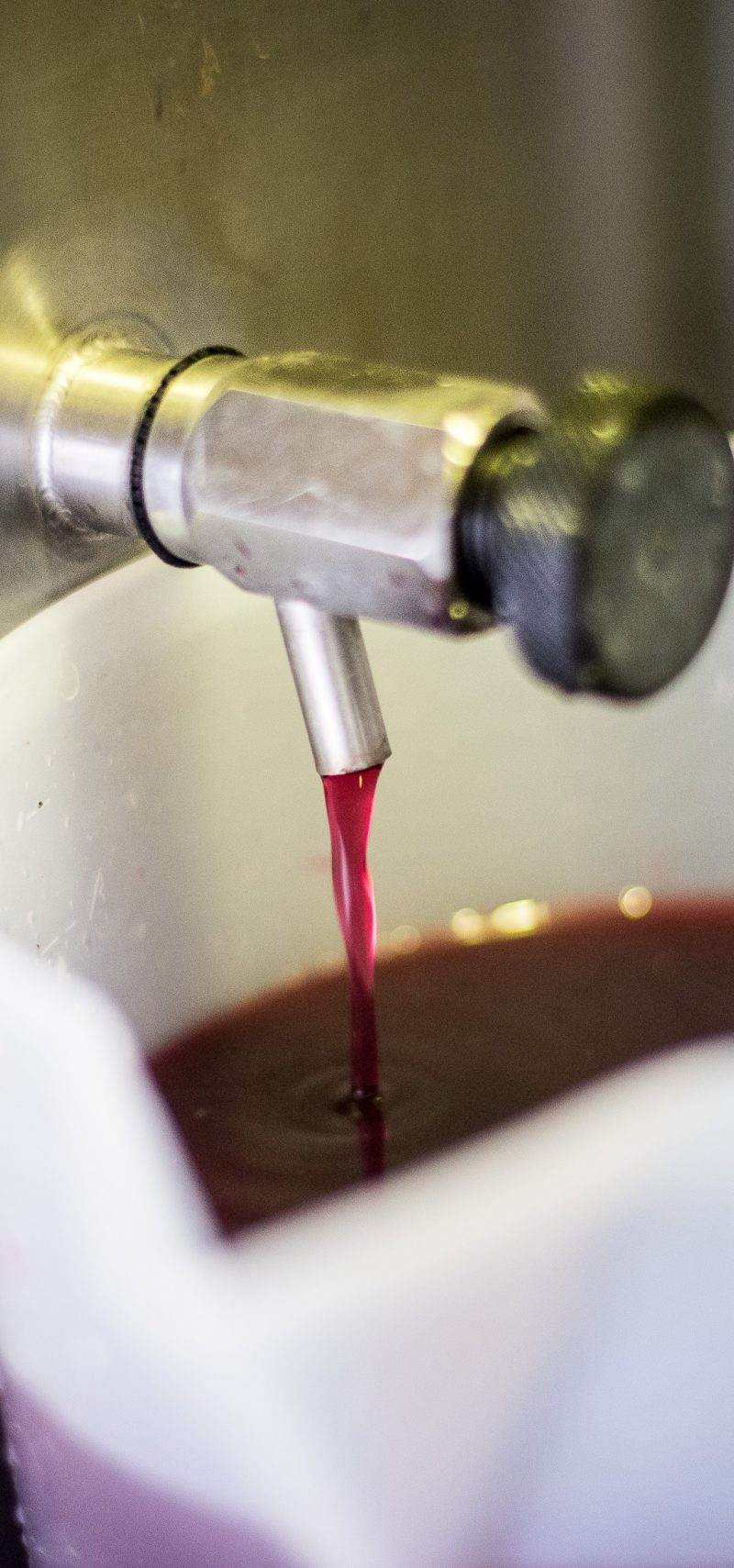 vignobles taste et barrie