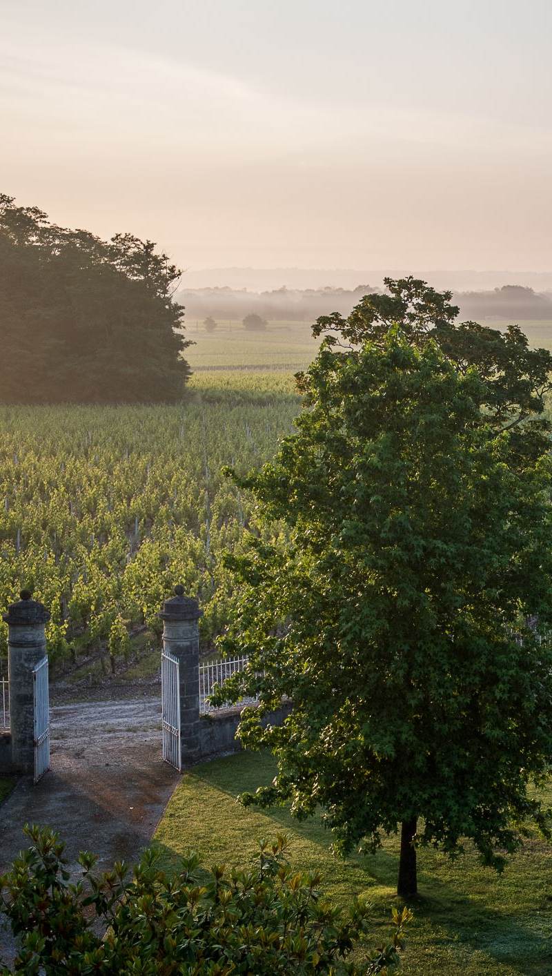 Chateau Malescasse, domaine viticole de renommée d'appellation Haut-Médoc
