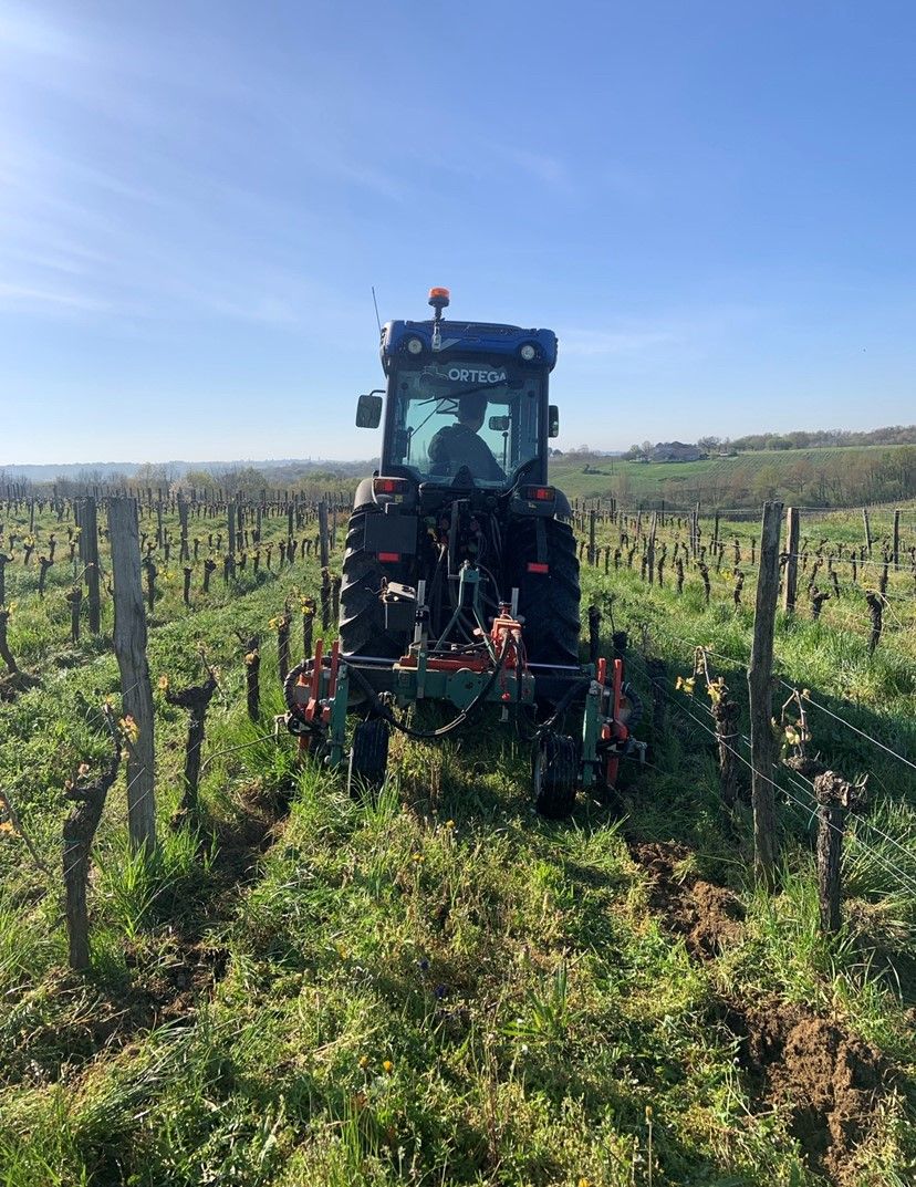 Lire la suite à propos de l’article La certification TERRA VITIS