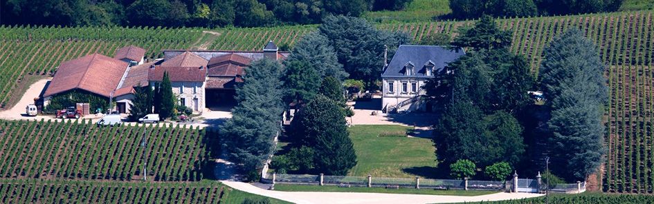 Château Despagne-Rapin — photo 2