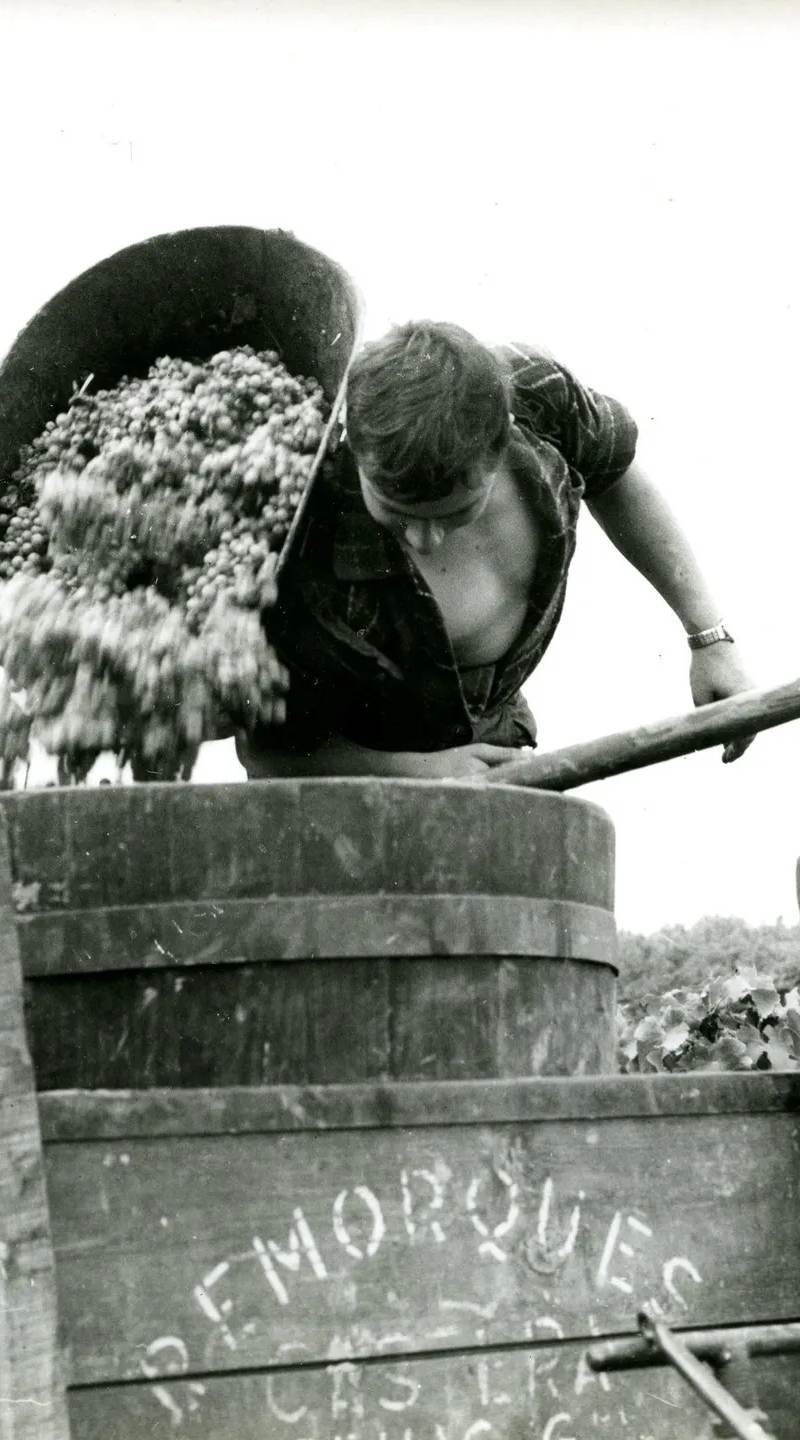 Accueil - Vignobles Latorse