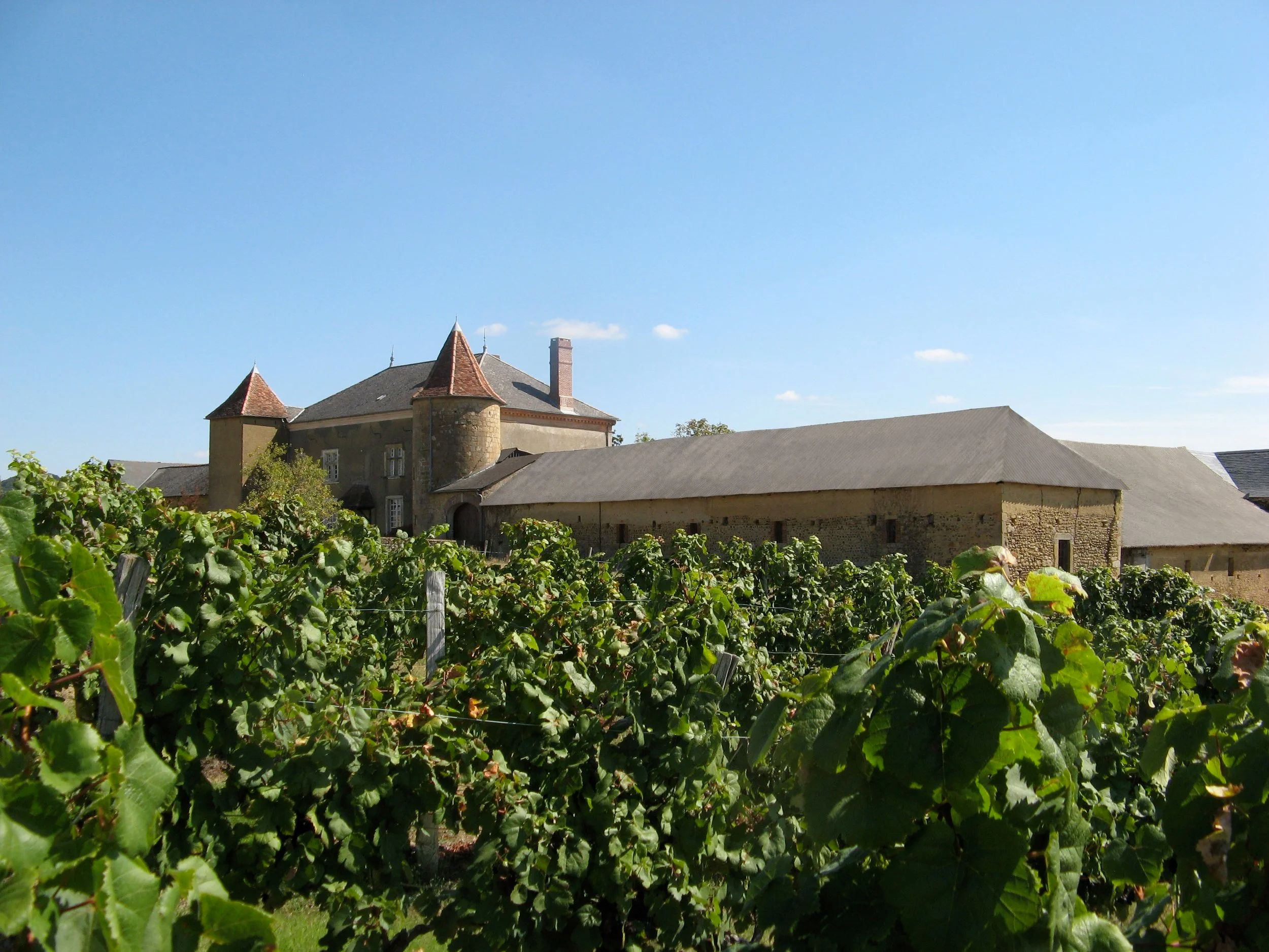 Château Gayon - Bordeaux Rosé