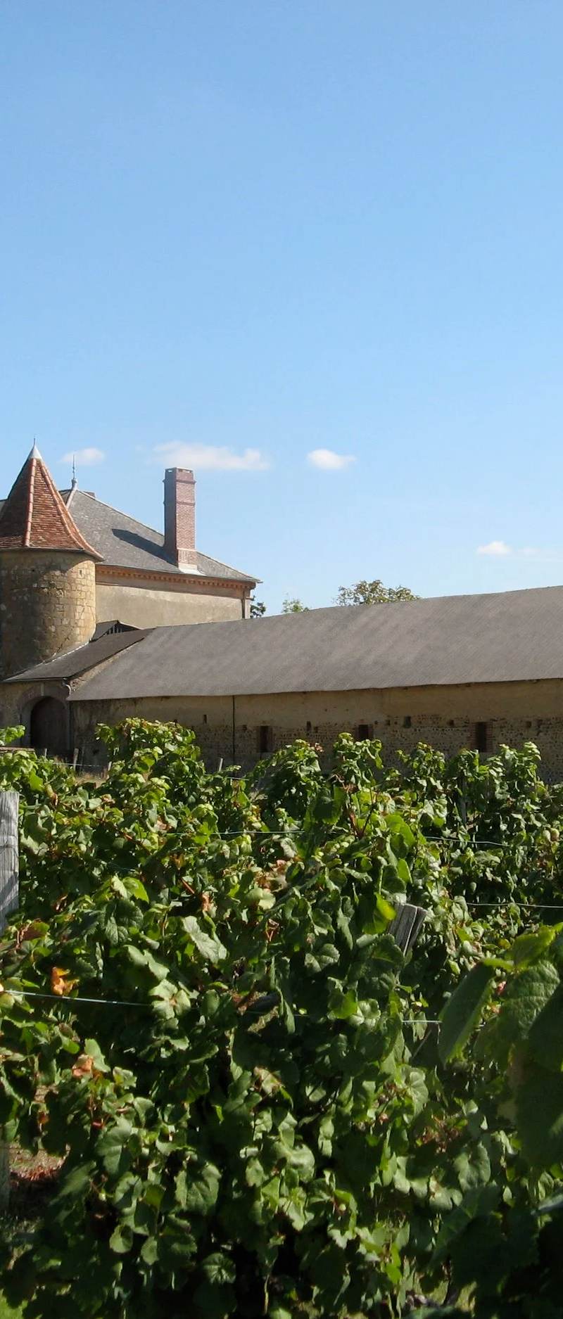 Château Gayon - Bordeaux Rosé
