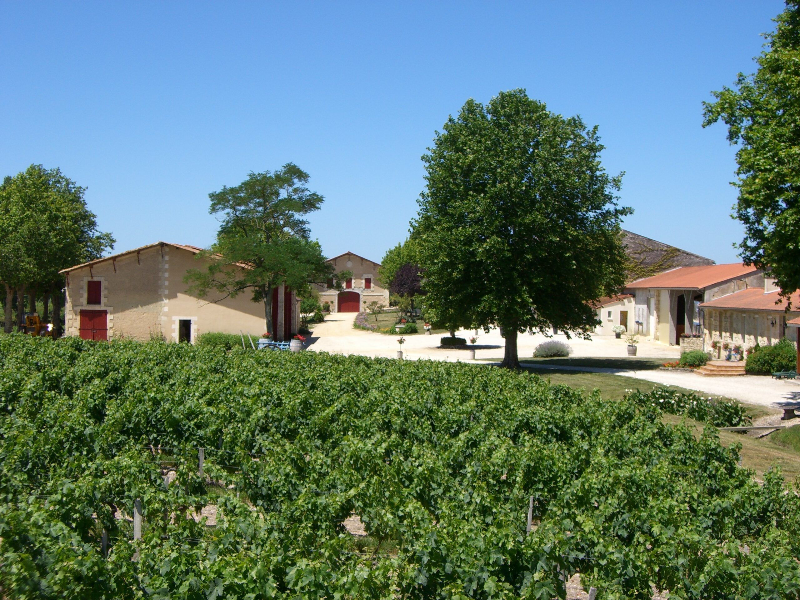 Château de Tourteyron / le Temple de Tourteyron - Médoc