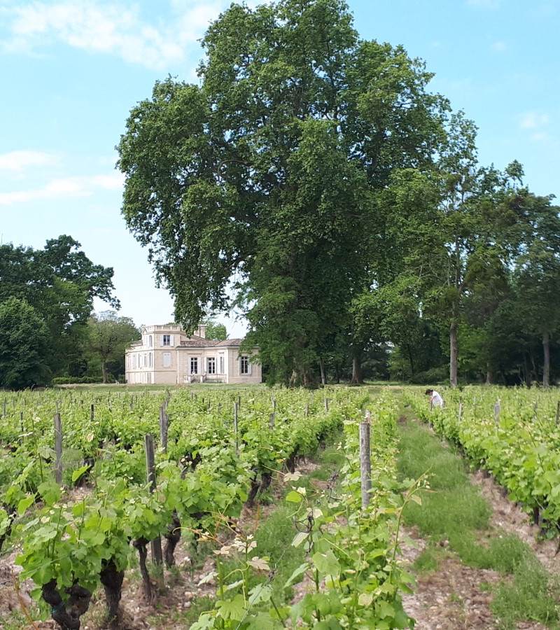 chateau le mayne