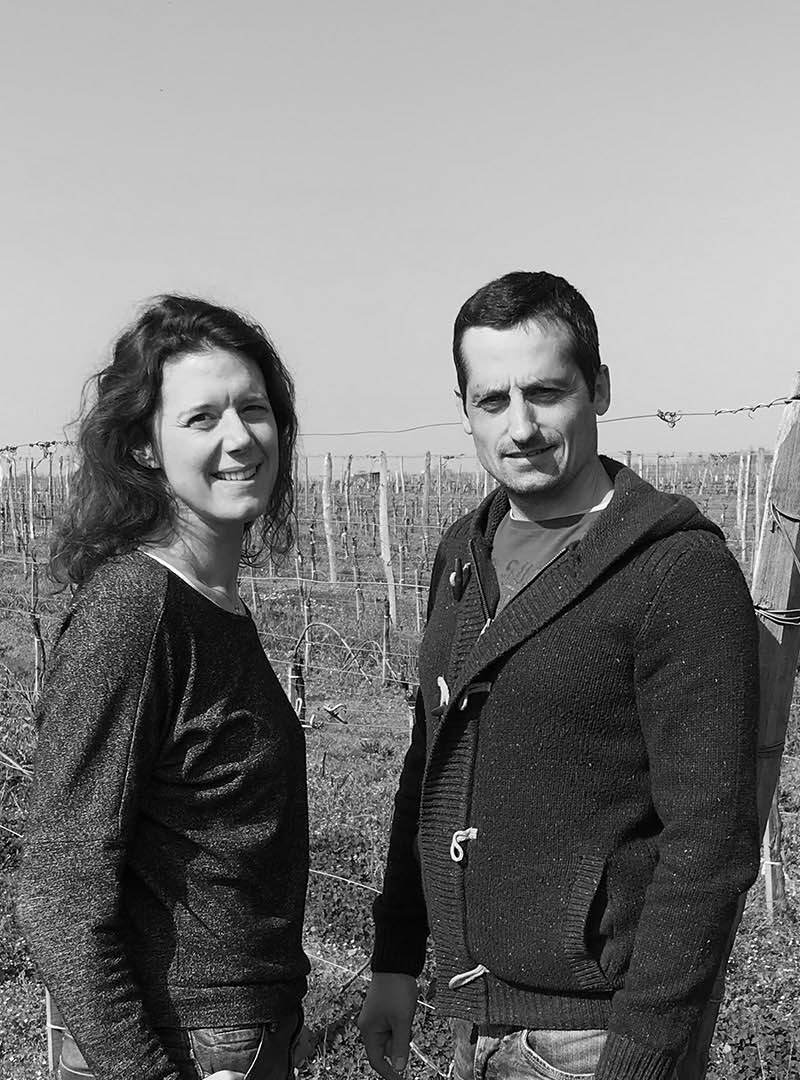 DE NOUVEAUX VIGNERONS