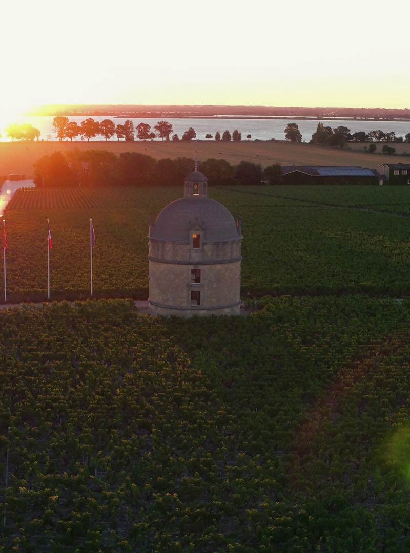 Château Latour - Pauillac