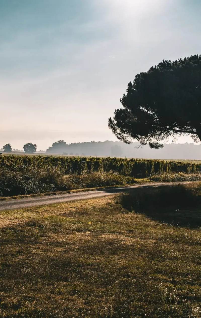 Château Haut Grelot — photo principale