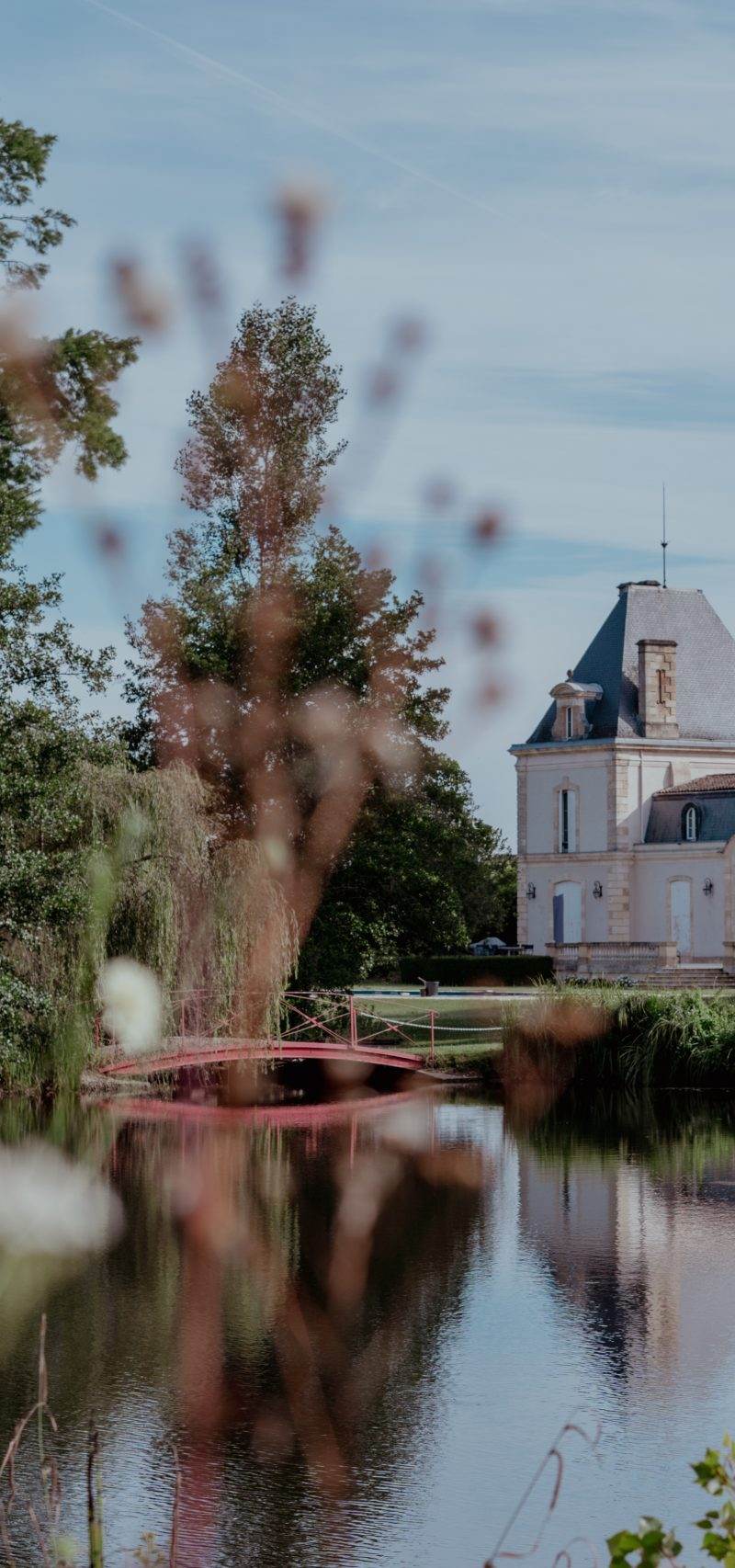 Château Larrivet Haut-Brion — photo principale