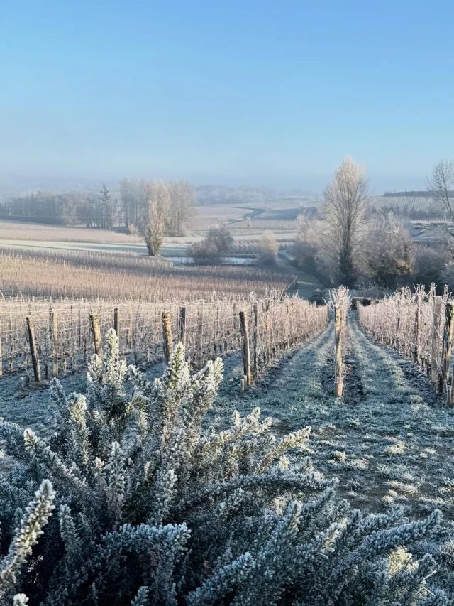 Photo — Château Valandraud