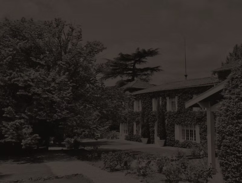 Domaine Chateau Lafitte