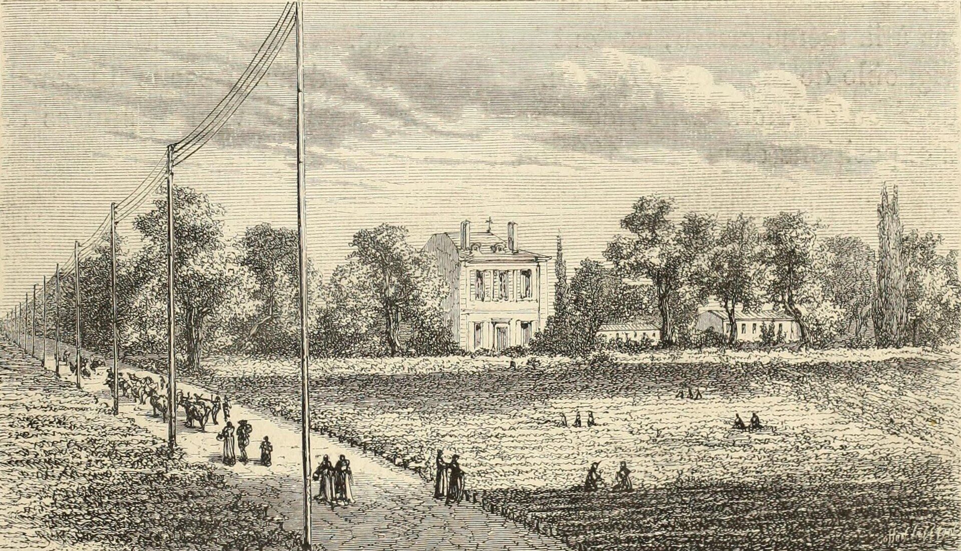 Château d'Armailhac — photo 2