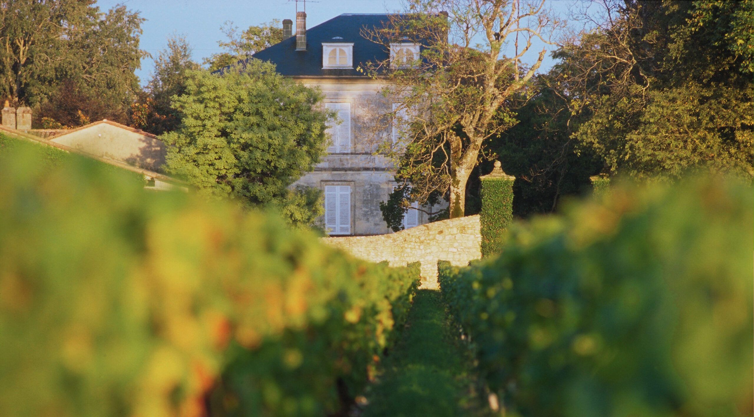 Château d'Armailhac - Pauillac