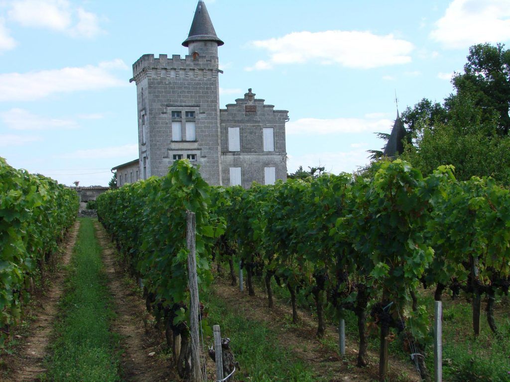 Château Guillemot — photo 4