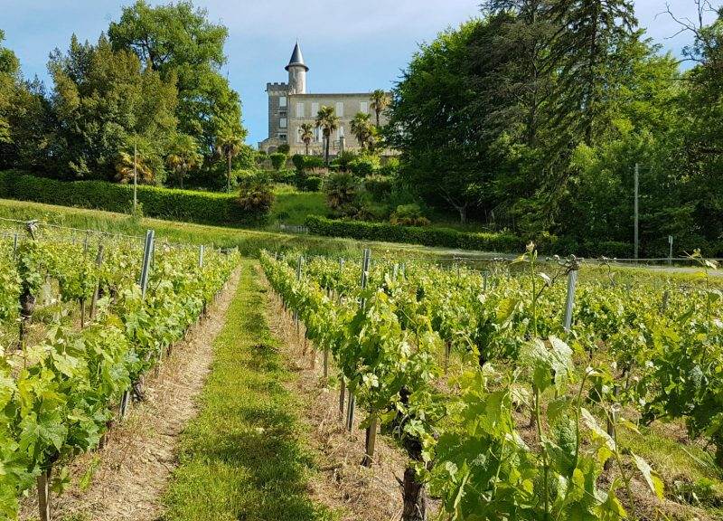 Château Guillemot — photo principale