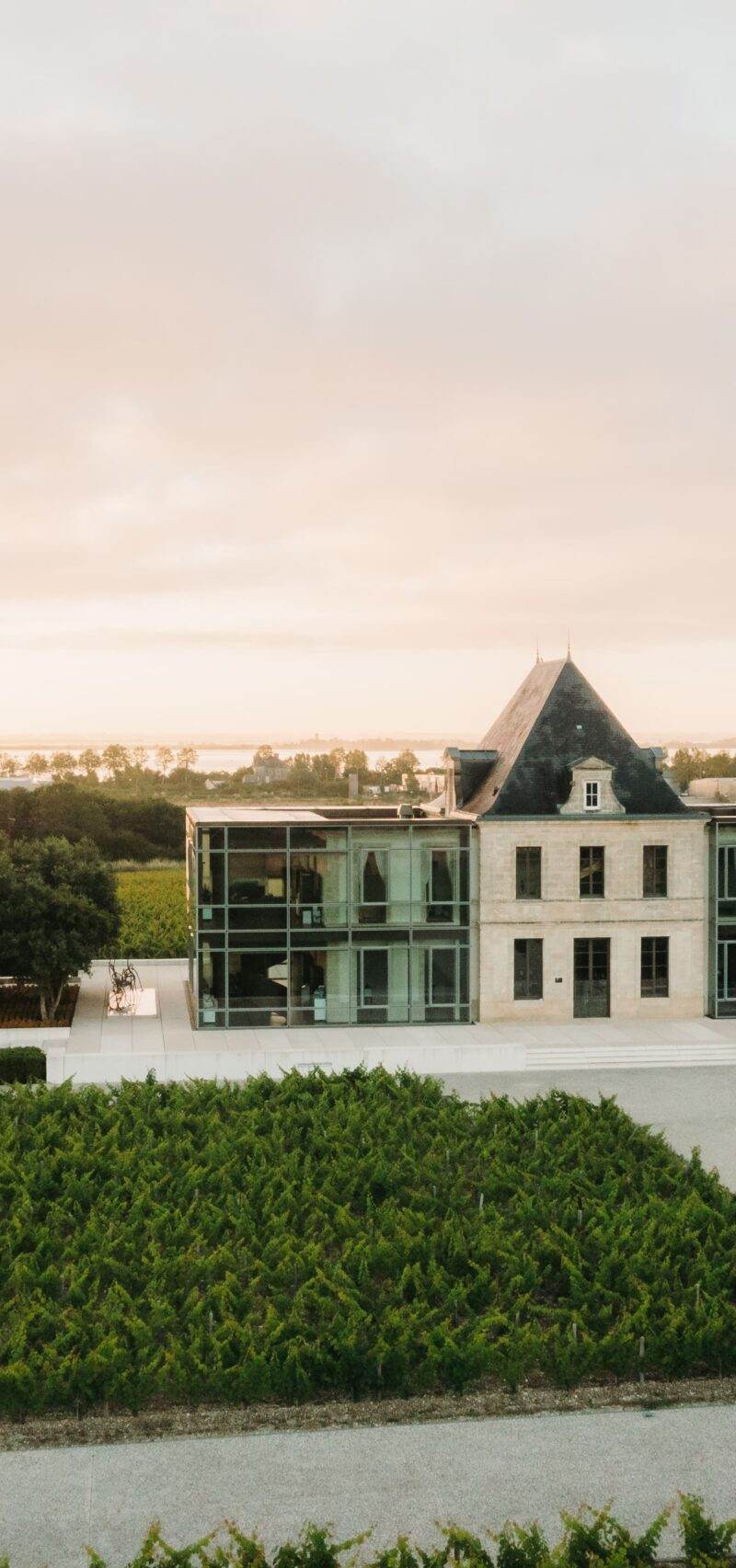 Château Pédesclaux