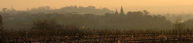 Château Caruel — photo 2