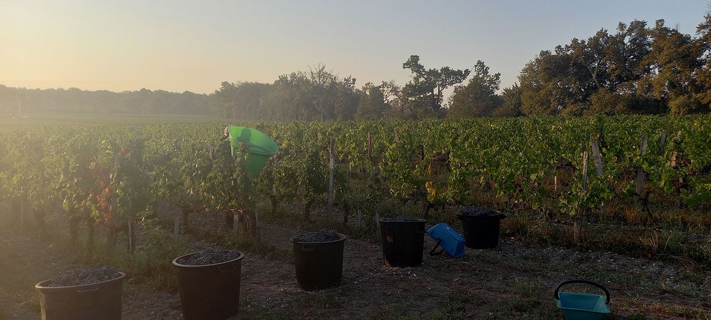 Domaine de Merlet — photo 2