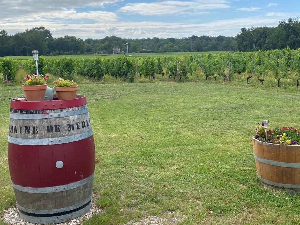 vins-pessac-leognan-vin-pessac-leognan-domaine-de-merlet-visite-chai-chais-vigne-vignes-vignoble-vin-blanc-vin-rouge-vin-b…
