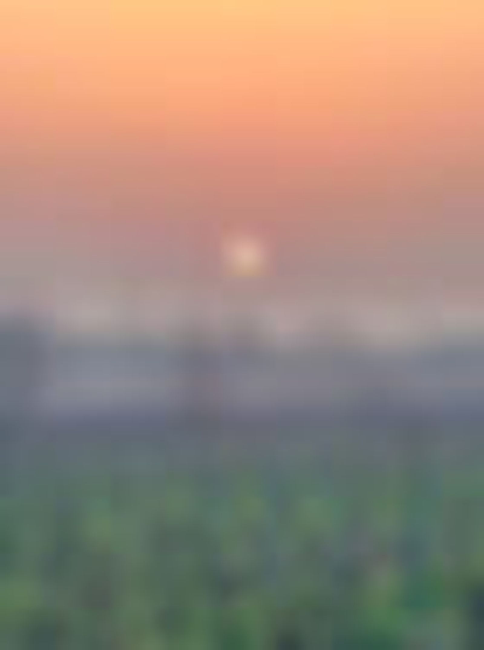 IMG_6905.jpeg