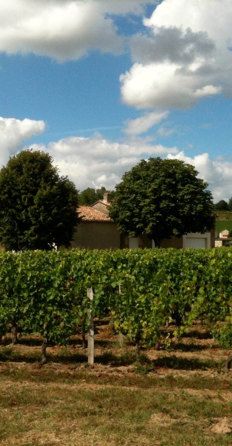 Château de Pasquette