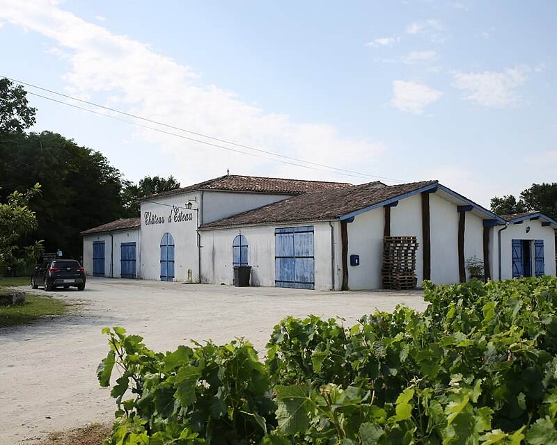 Fichier:Château d'Esteau 01.jpg