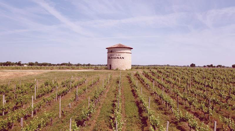 Château Blaignan - Médoc