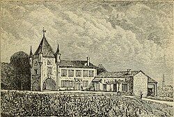 Petrus — photo 4