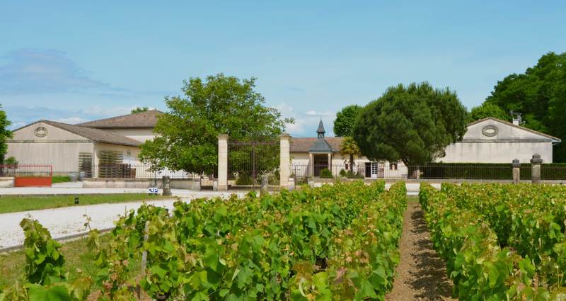 Château Devise d'Ardilley - Haut-Médoc
