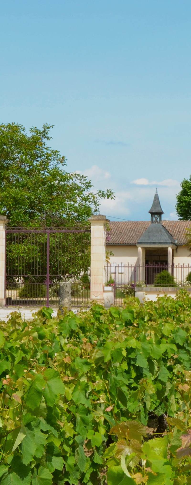 Château Devise d'Ardilley