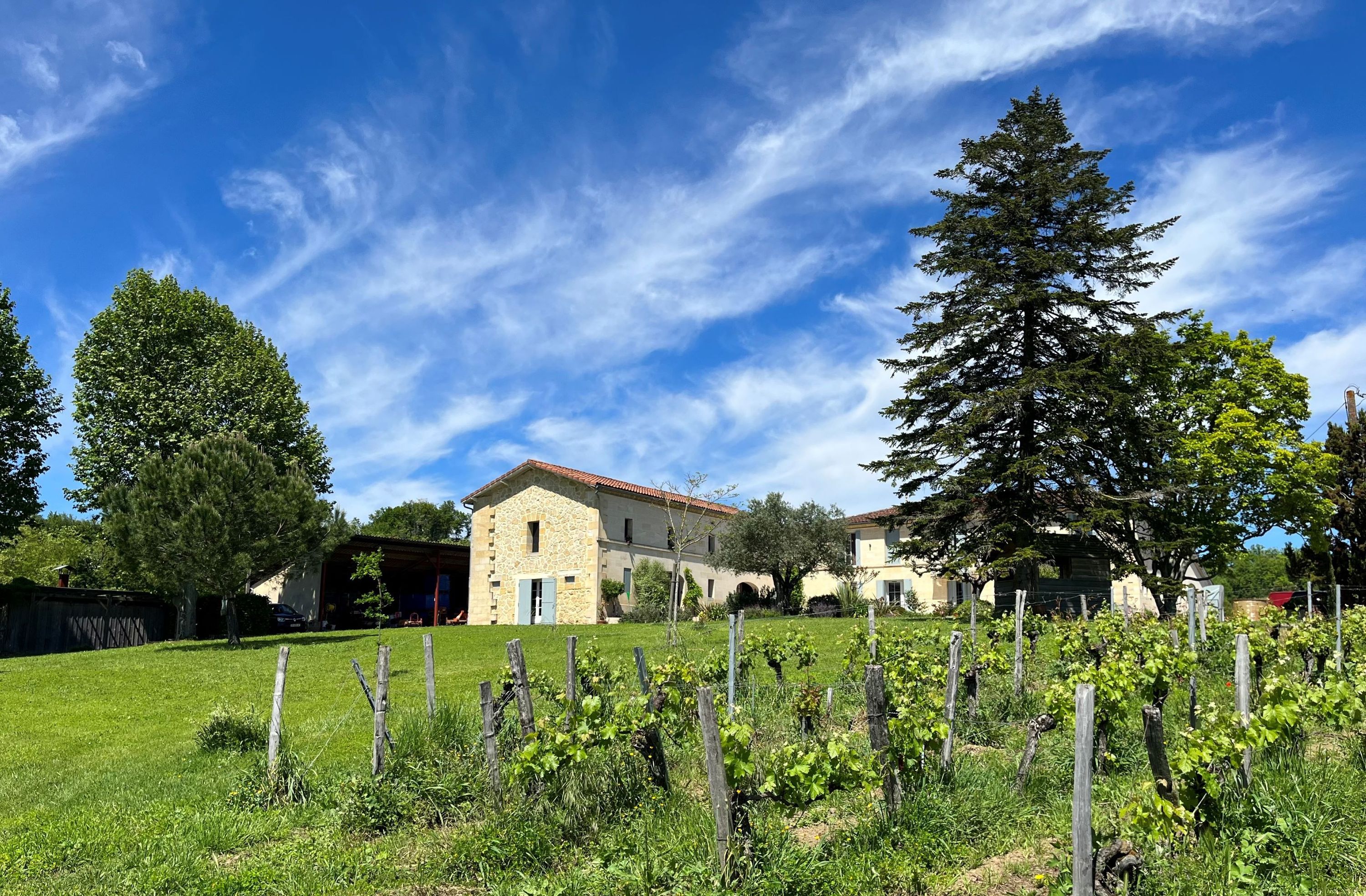 Château Petit Mangot - Saint-Émilion Grand Cru