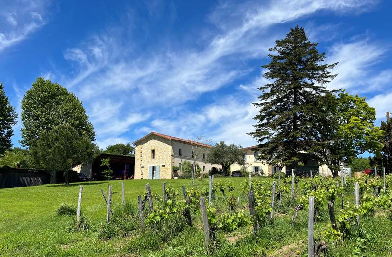 Château Petit Mangot - Saint-Émilion Grand Cru