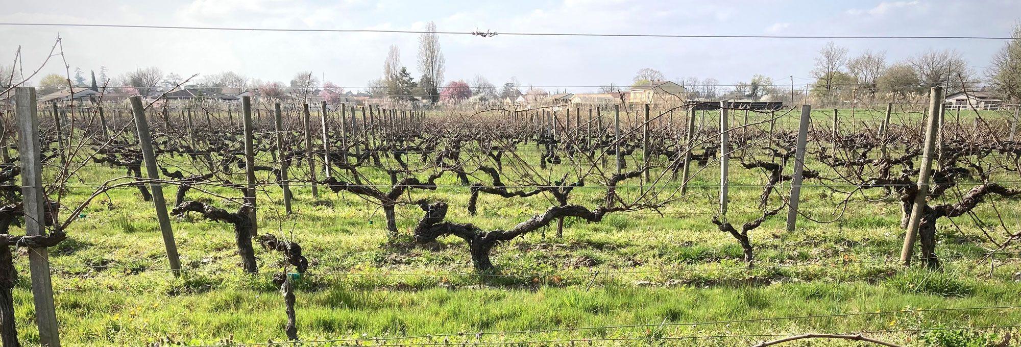 Clos la Providence - Bordeaux