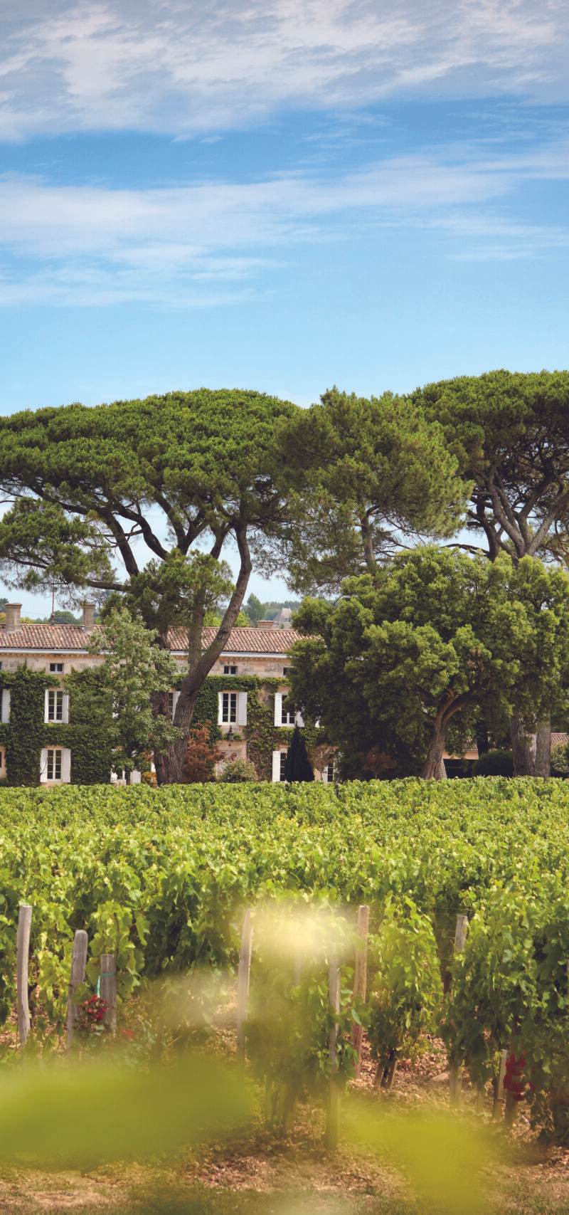 Château Rouget