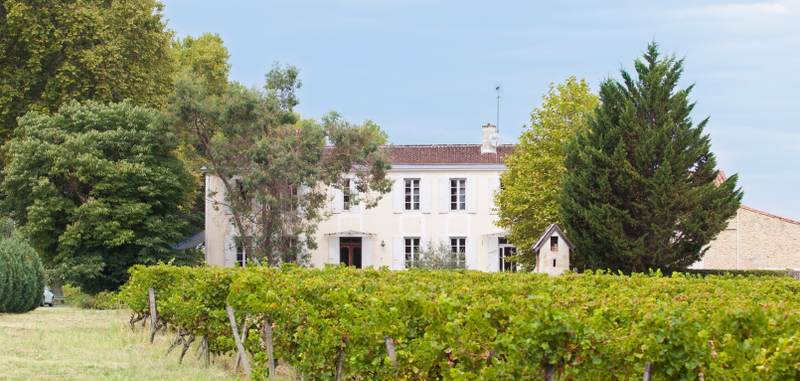 Château Mejean - Graves